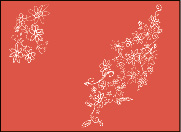 OC1936 Flippy Floppy Flowers