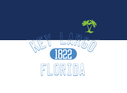 OC2058 Ladies Football