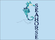 SG2072 Glass Seahorse
